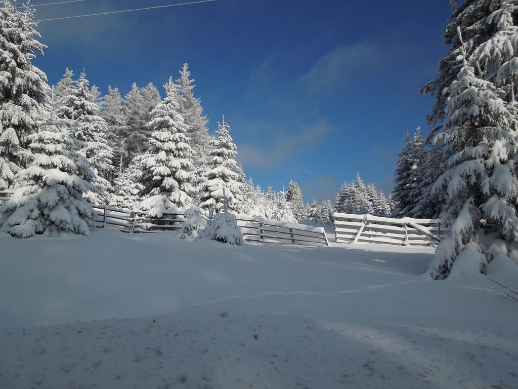 Blockhaus Bodefall Braunlage Chambre photo
