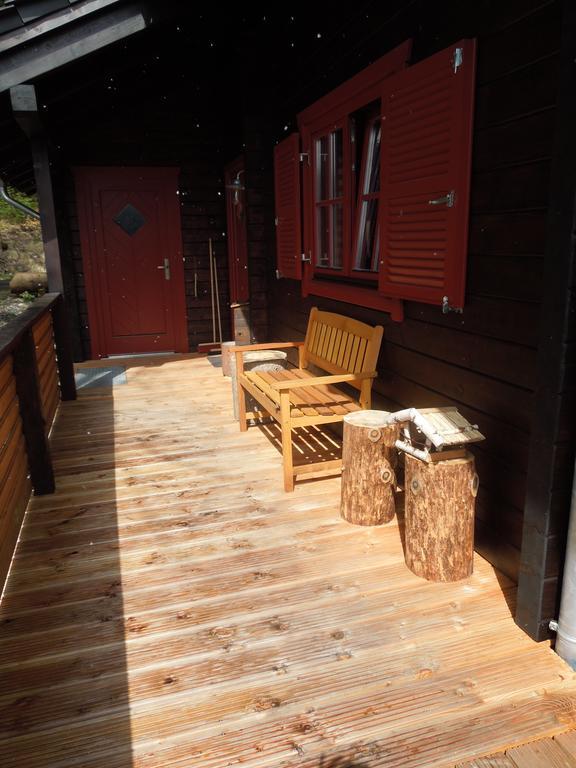 Blockhaus Bodefall Braunlage Extérieur photo