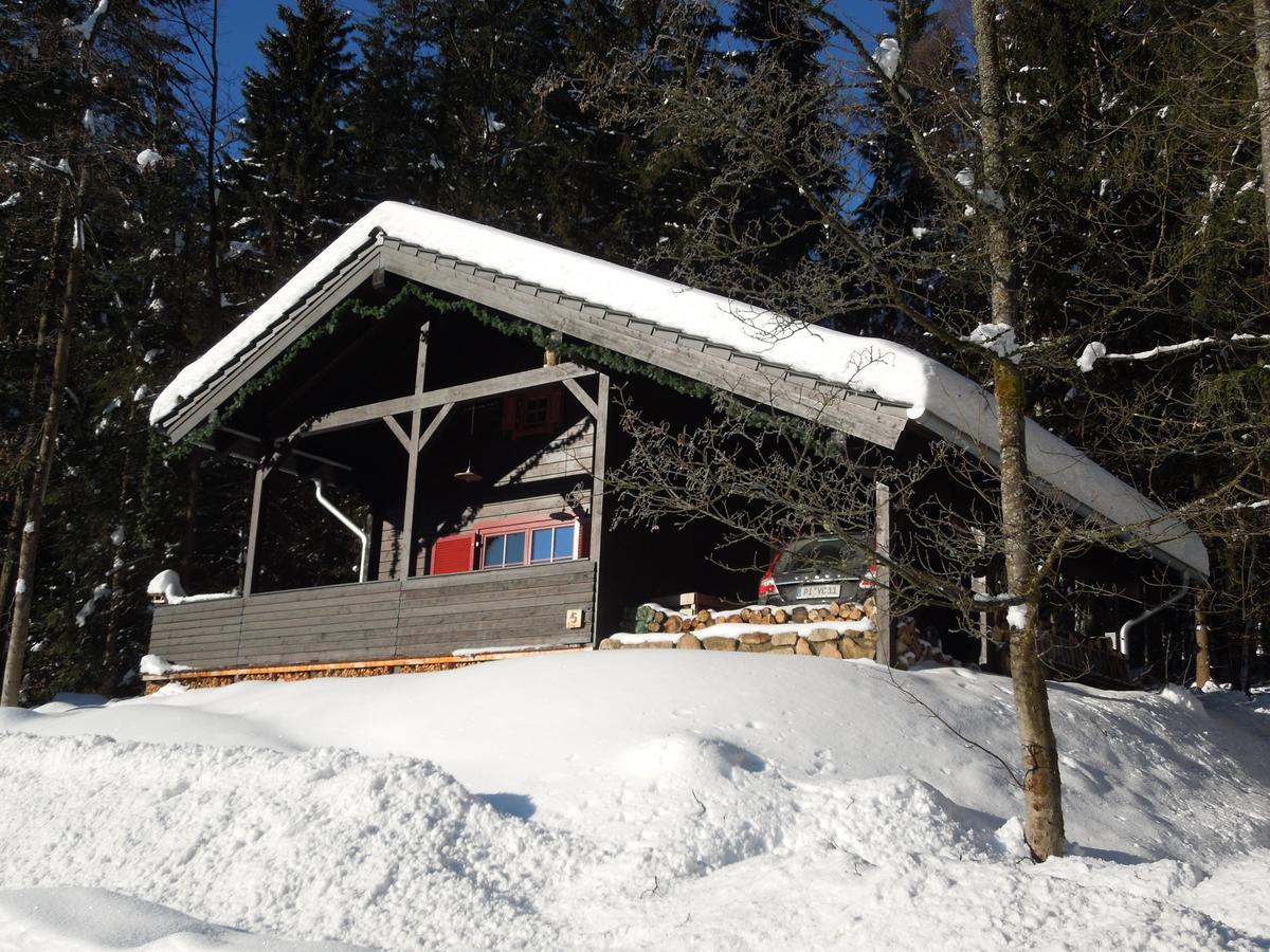 Blockhaus Bodefall Braunlage Extérieur photo